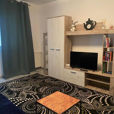 Apartment Dabic Remote And Fun Braşov Exterior foto