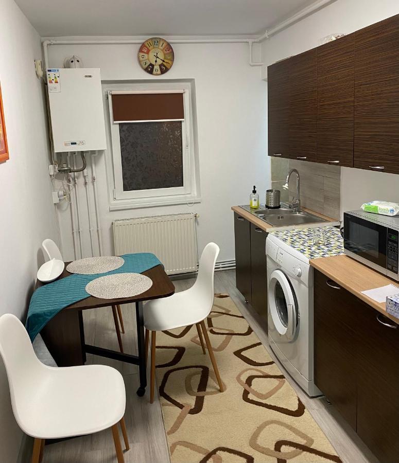 Apartment Dabic Remote And Fun Braşov Exterior foto
