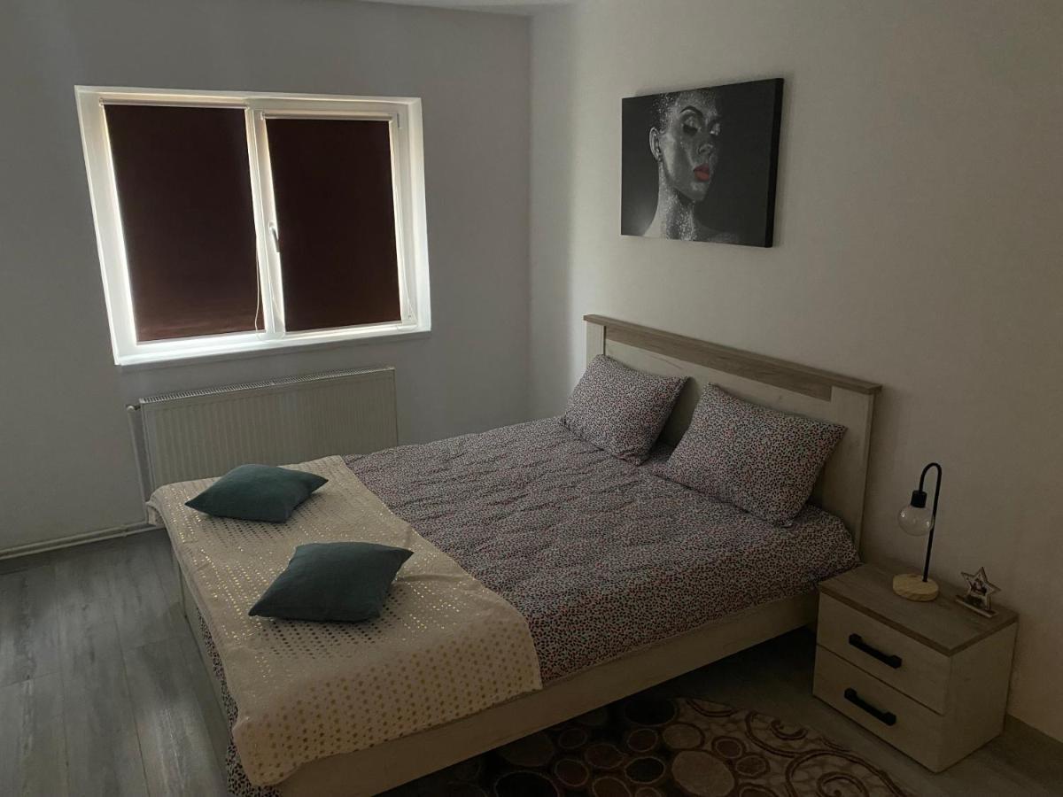 Apartment Dabic Remote And Fun Braşov Exterior foto